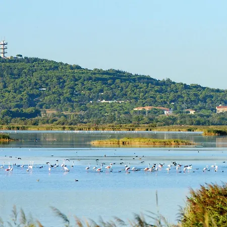 公寓 Beija Flor By Interhome *